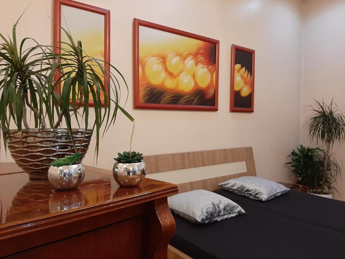Dr Apartment Novi Sad Exterior foto