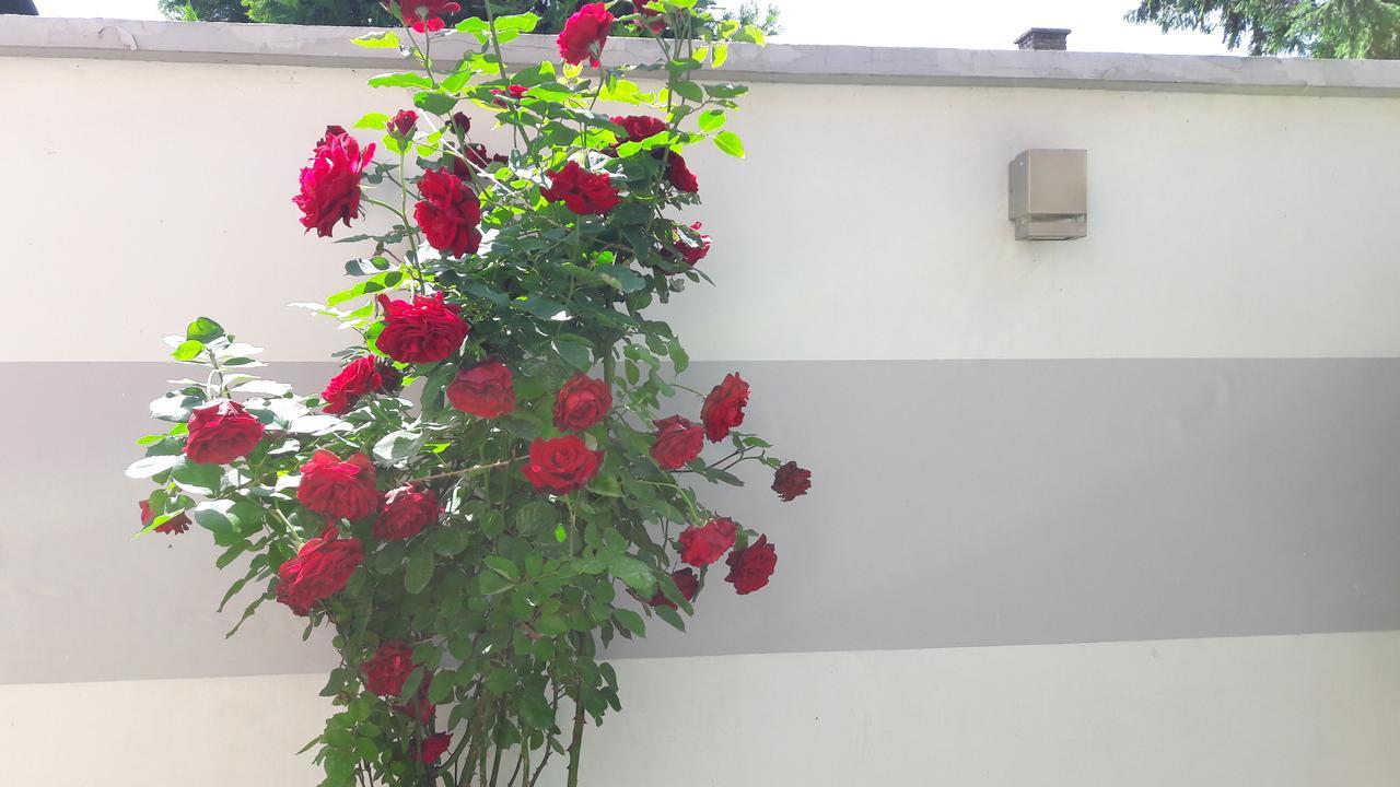 Dr Apartment Novi Sad Exterior foto